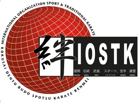 Logo Iostk Nuevo